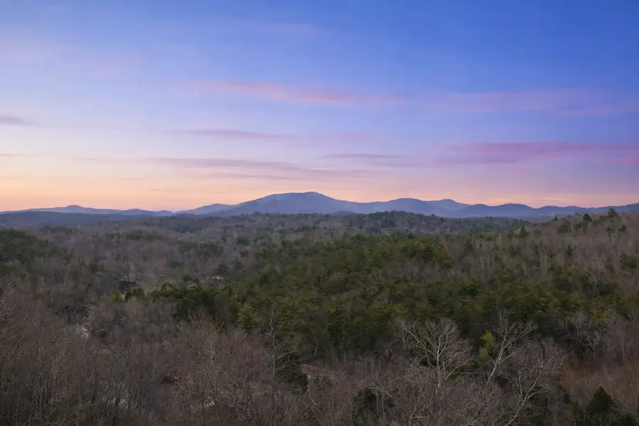 355 W Shalom Court, Blue Ridge, GA 30513 - #2