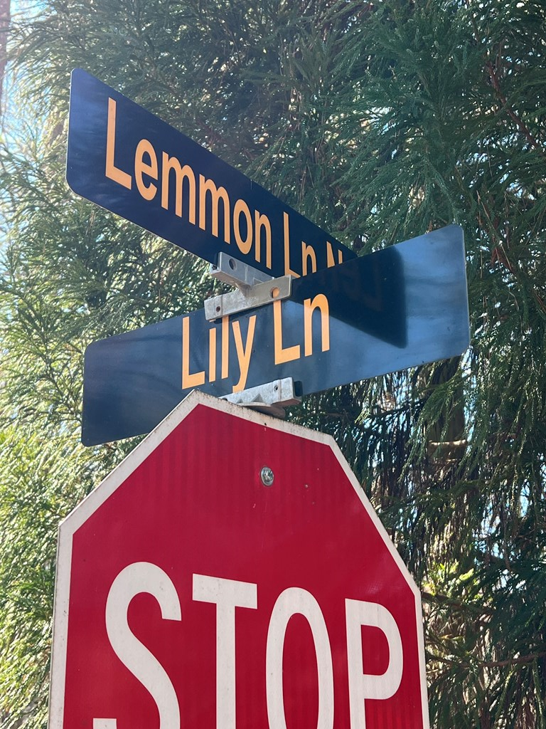 18 Lily Lane, Ellijay, GA 30540 - #2