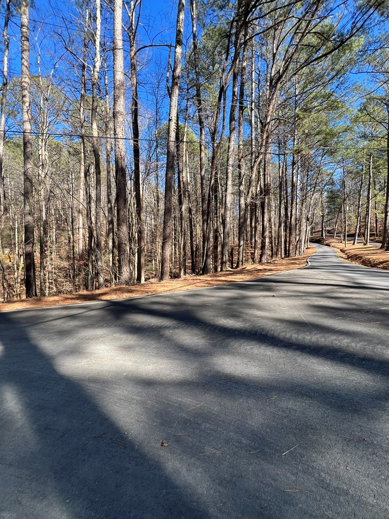 18 Lily Lane, Ellijay, GA 30540 - #3