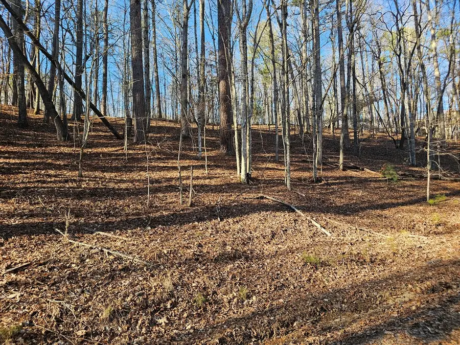 .76 Pasha Drive, Ellijay, GA 30540 - Image #3