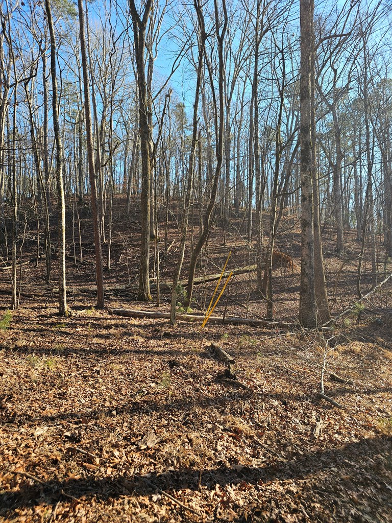 .93 Pasha Drive, Ellijay, GA 30540 - Image #3