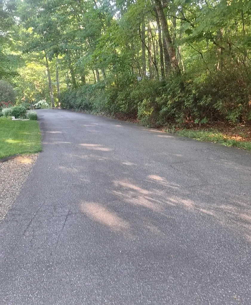 Lot 9 Cook Mountain Estate, Blairsville, GA 30512 - Image #2