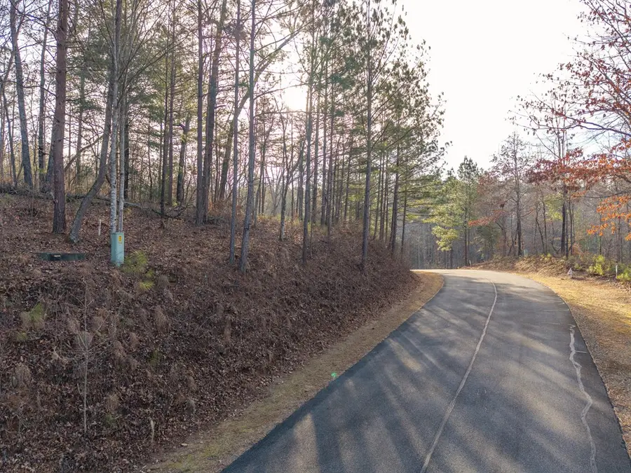 Lt 186 Harris Ridge Lane, Ellijay, GA 30540 - Image #2