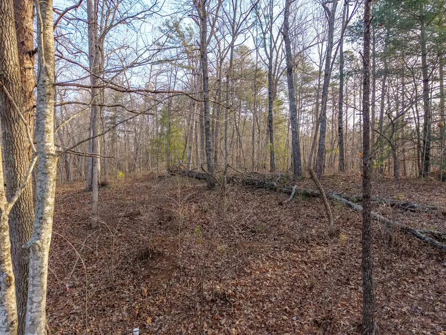 Lt 186 Harris Ridge Lane, Ellijay, GA 30540 - Image #3