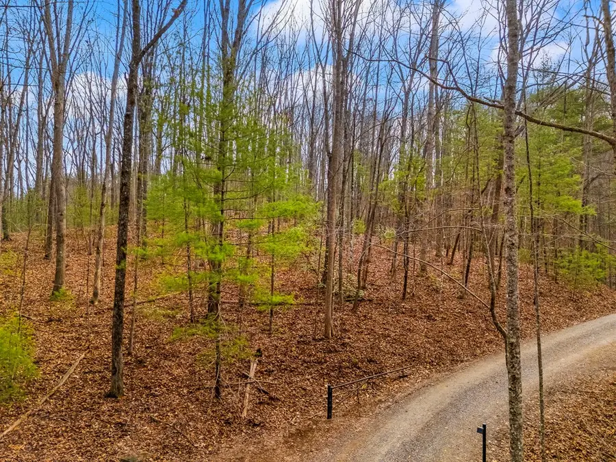 1.03 ac Guy Eller Road, Murphy, NC 28906 - Image #3