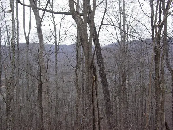 #16 Roaring Ridge, Hiawassee, GA 30546