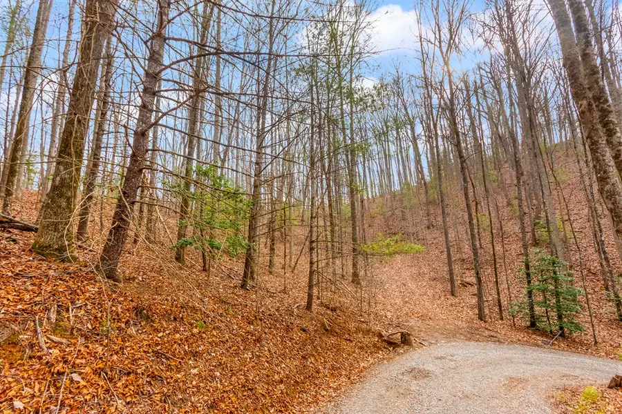 3.45 ac Guy Eller Road, Shoal Creek, NC 28006 - #2