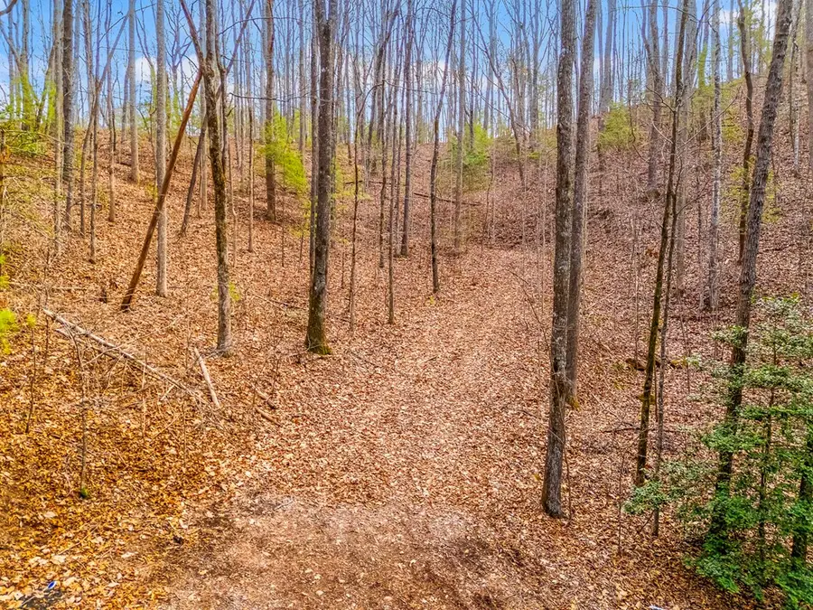 3.45 ac Guy Eller Road, Shoal Creek, NC 28006 - #3