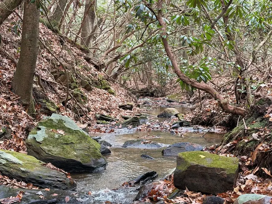 691 Mitchell Branch Road, Morganton, GA 30560 - Image #2