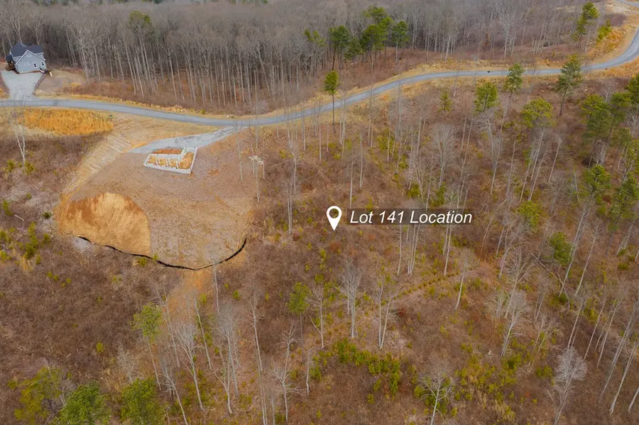 Lot 141 Twisted Oak Road, Talking Rock, GA 30175 - Image #2
