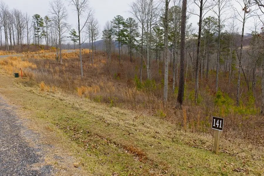 Lot 141 Twisted Oak Road, Talking Rock, GA 30175 - Image #3