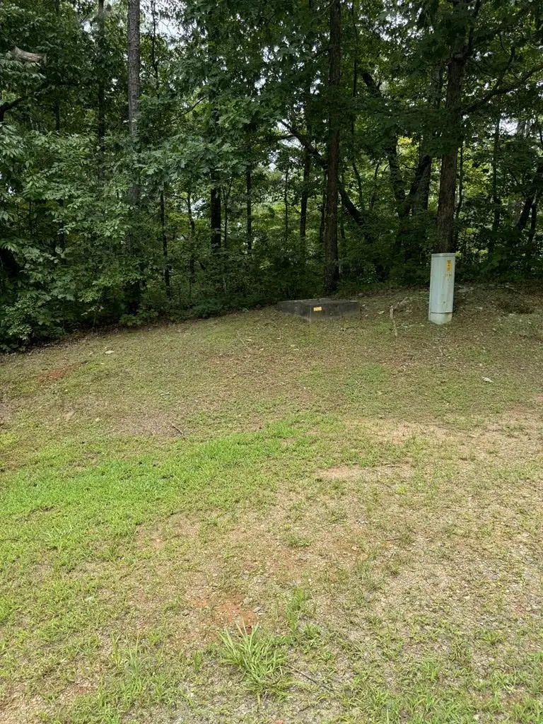 LOT 5 Harris Creek Drive, Ellijay, GA 30540 - #2