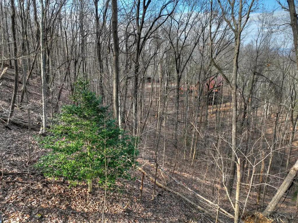 LTS 159+ Hickory Trace, Ellijay, GA 30536 - #1