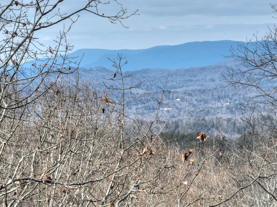 LTS 159+ Hickory Trace, Ellijay, GA 30536 - #2