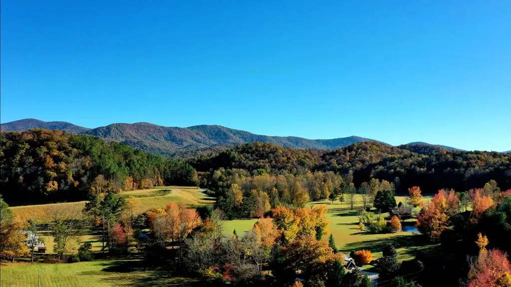 Lot 4 Gold Ridge Trail, Cherry Log, GA 30522 - #1