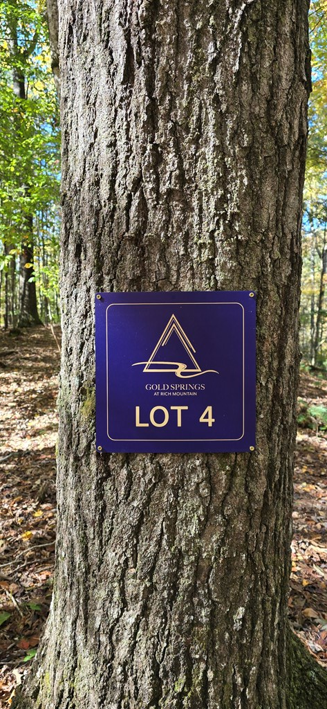 Lot 4 Gold Ridge Trail, Cherry Log, GA 30522 - #2