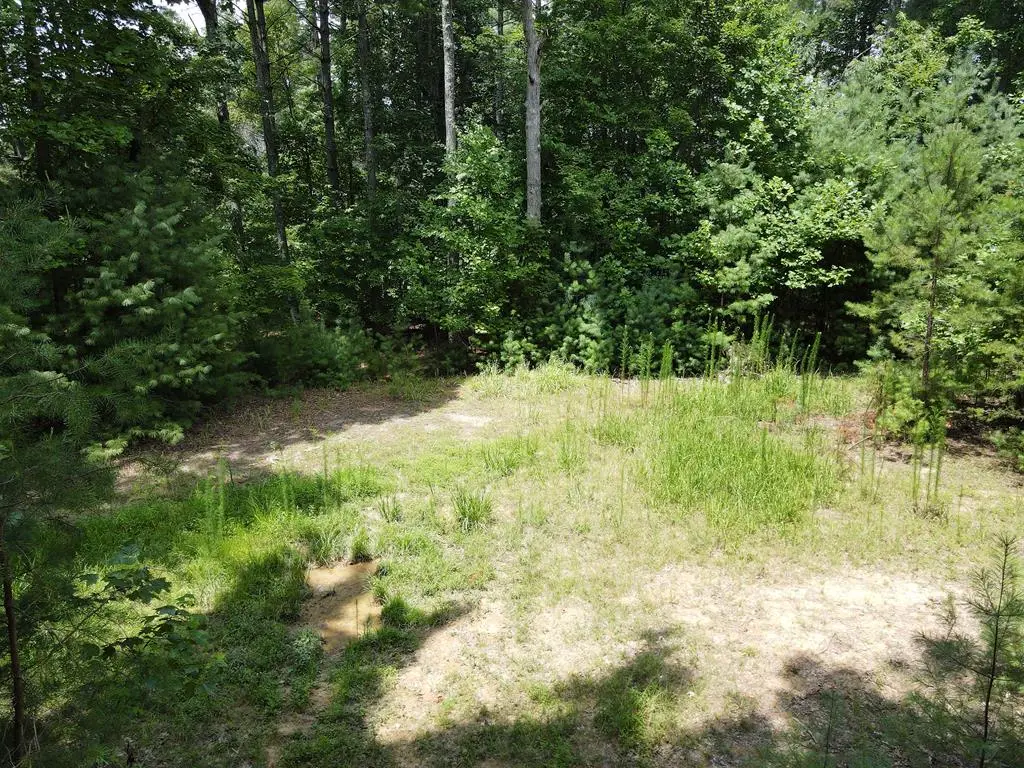 Lot 3 Scouts Overlook Lane, Morganton, GA 30560 - #1