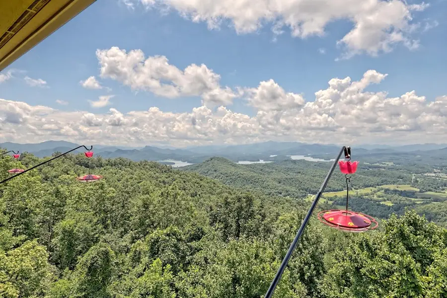 1212 Double Knob Drive E, Hayesville, NC 28904 - #2