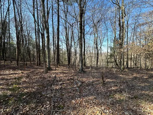 Lot 1640 Hunter Drive, Talking Rock, GA 30175