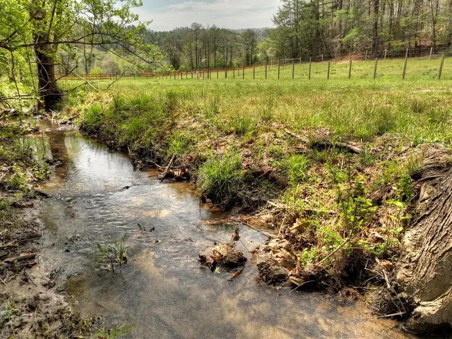 9.13 AC Hells Hollow Road, Blue Ridge, GA 30513 - #2