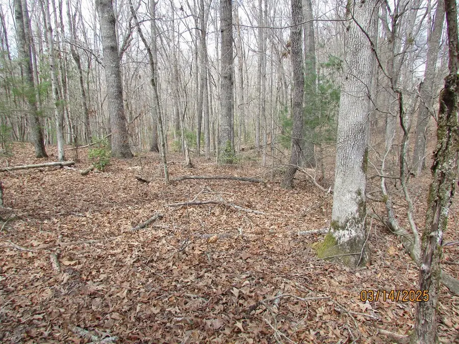 10.5 ac. Phillips Road, Young Harris, GA 30582 - #3