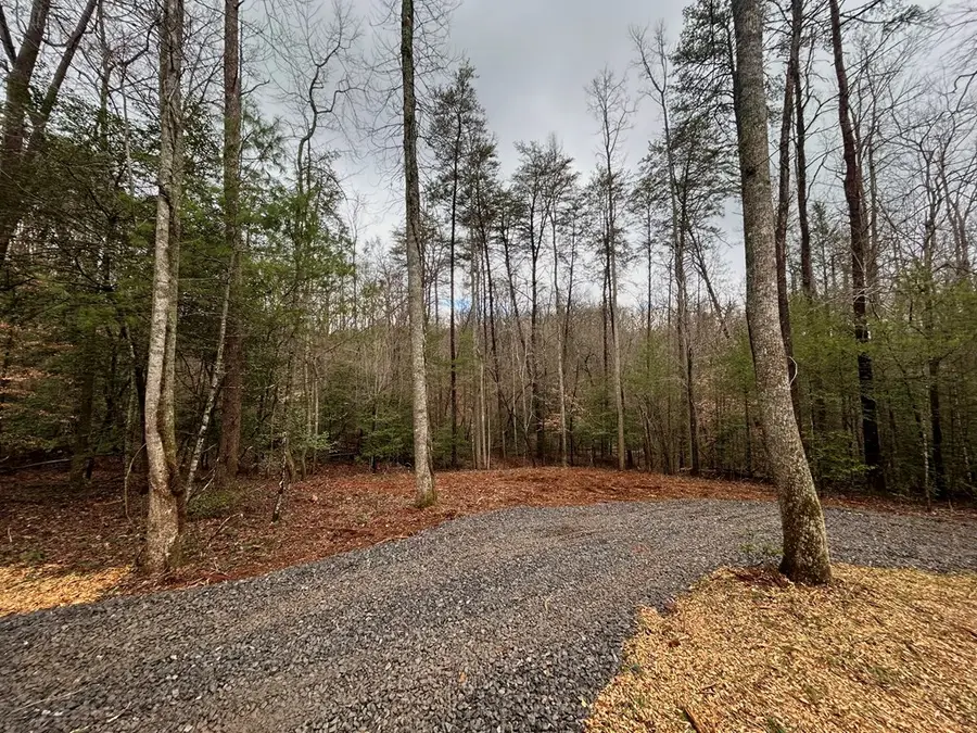 00 Grace Drive, Blue Ridge, GA 30513 - #2