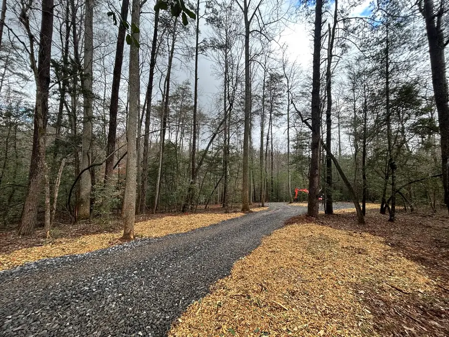 00 Grace Drive, Blue Ridge, GA 30513 - #3