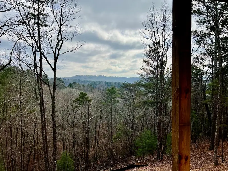 56 Monica Court, Ellijay, GA 30540 - #3