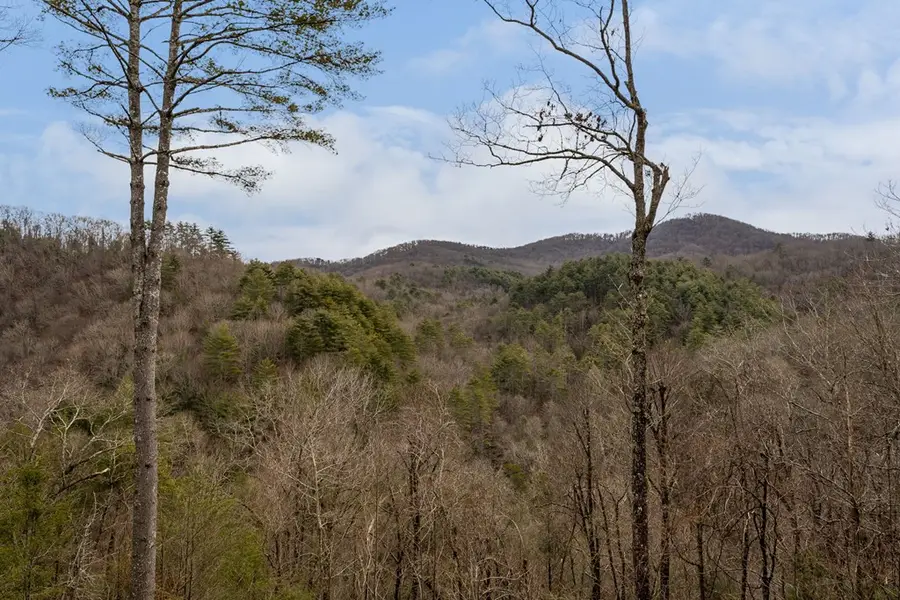 197 Cashes Valley Overlook, Cherry Log, GA 30522 - #2