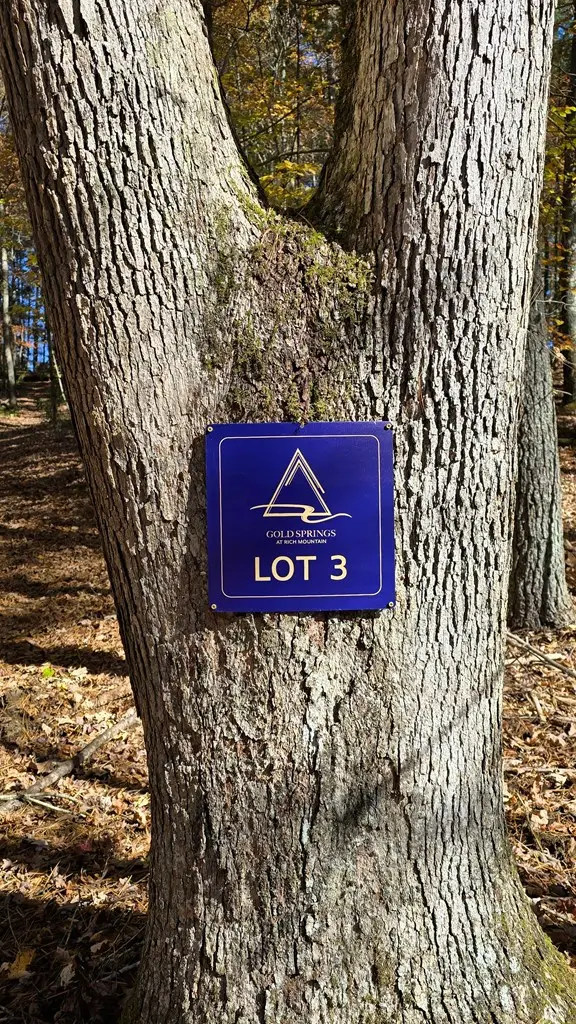 Lot 3 Gold Ridge Trail, Cherry Log, GA 30522 - #2