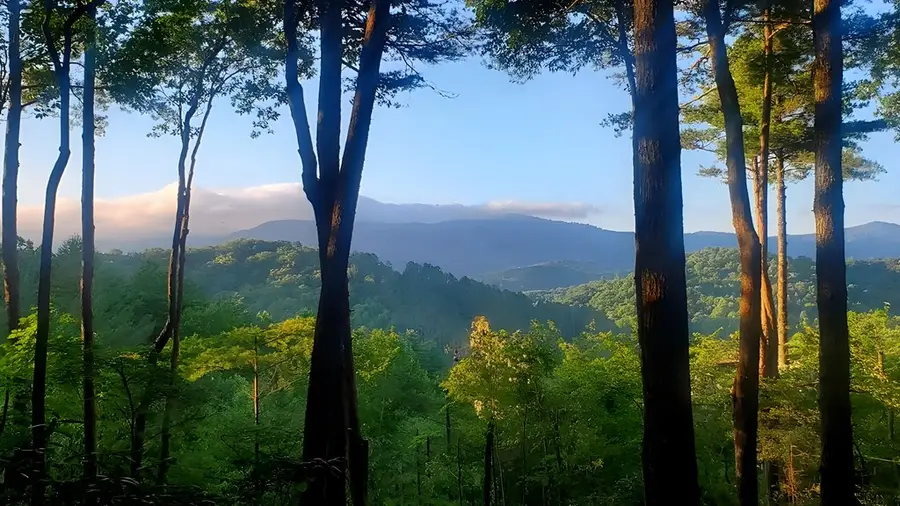 Lot 3 Gold Ridge Trail, Cherry Log, GA 30522 - #3