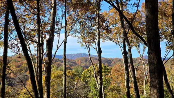 Lot 5 Gold Ridge Trail, Cherry Log, GA 30522