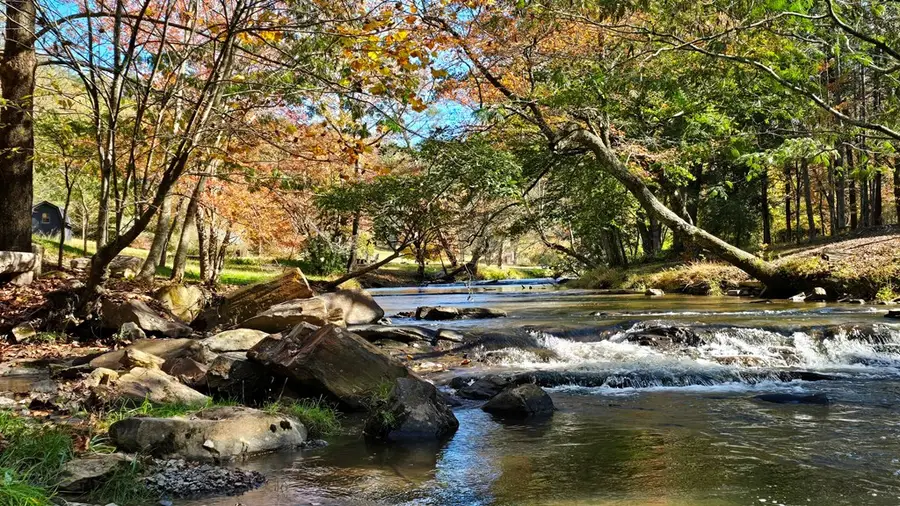 Lot 5 Gold Ridge Trail, Cherry Log, GA 30522 - #3