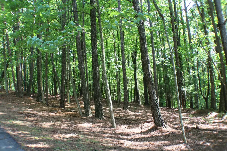 Lot 36R Lake View Lane, Ellijay, GA 30536 - #2