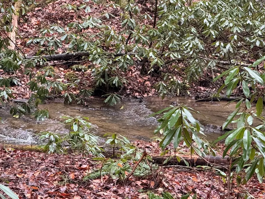 846 Joann Sisson Road, Ellijay, GA 30540 - #2