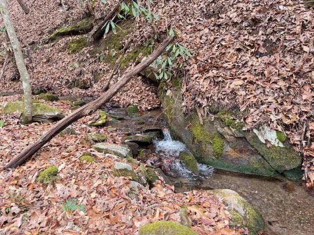 604 Bonny Brae Lane, Andrews, NC 28901 - #2