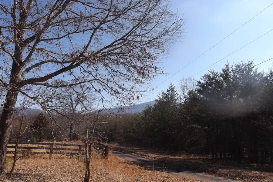 75 Lassie Lane, Young Harris, GA 30546 - #3