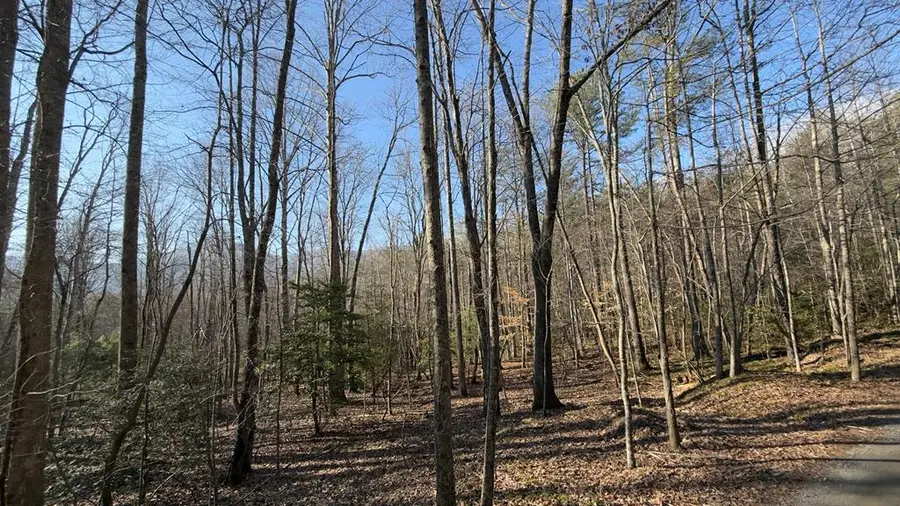 NA Shady Lane, Hiawassee, GA 30546 - #2