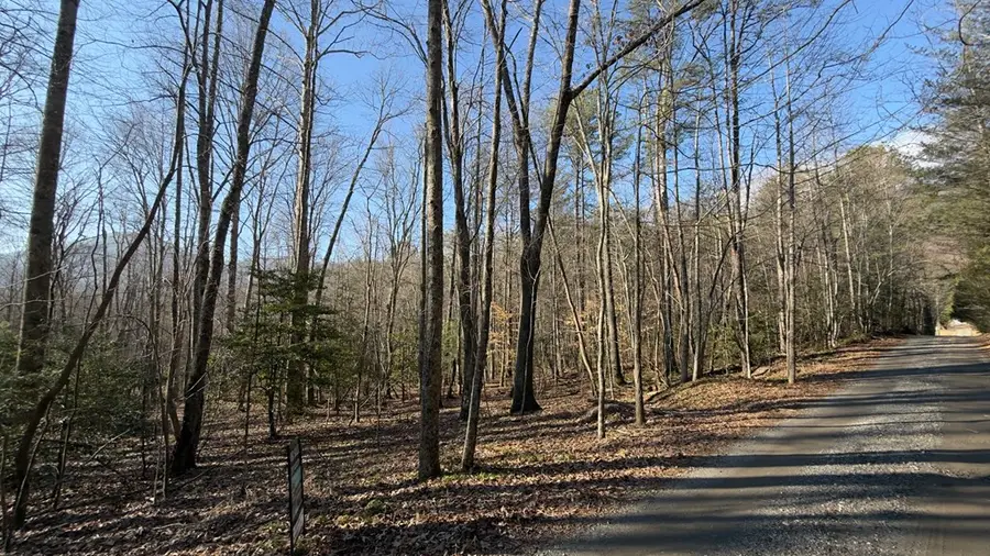 NA Shady Lane, Hiawassee, GA 30546 - #3