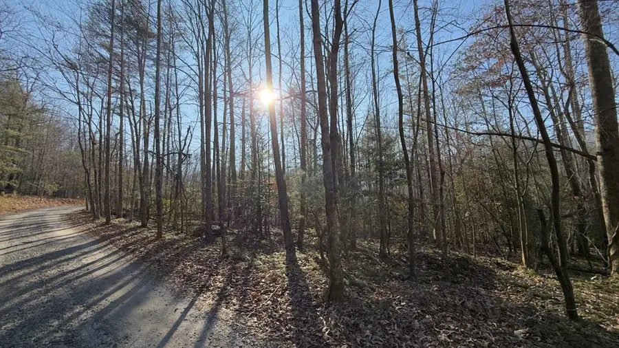 NA Shady Lane, Hiawassee, GA 30546 - #2