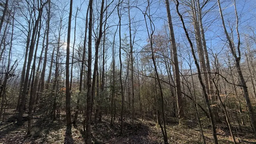 NA Shady Lane, Hiawassee, GA 30546 - #3