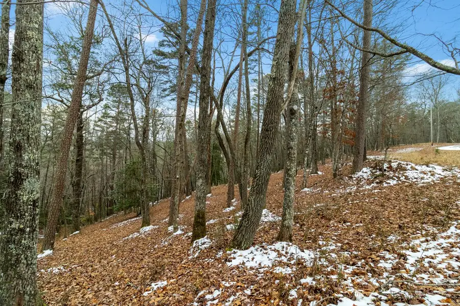 Lot 5 Curtis Ridge Road, Blue Ridge, GA 30513 - #3