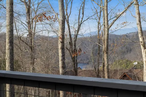 56 Robins Ridge, Blue Ridge, GA 30513