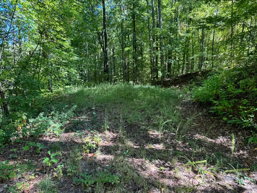 #2-3 Burnt Leaf Lane, Hayesville, NC 28904 - #2