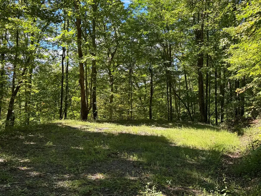 #8-2 Tree Top Drive, Hayesville, NC 28904 - #1