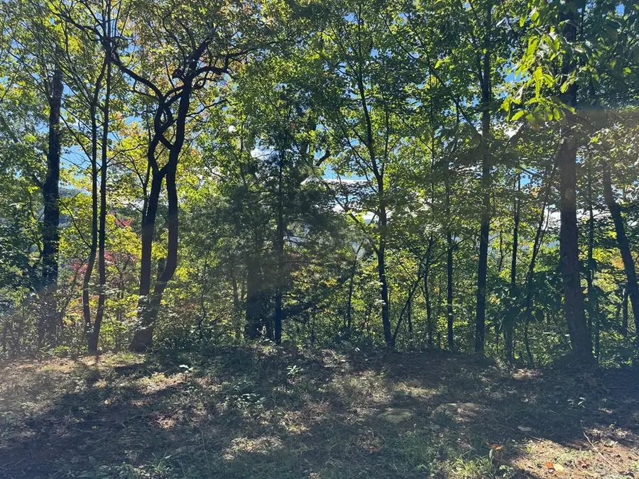 #6-2 Tree Top Drive, Hayesville, NC 28904 - #3