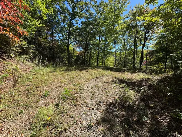 #9-2 Tree Top Drive, Hayesville, NC 28904