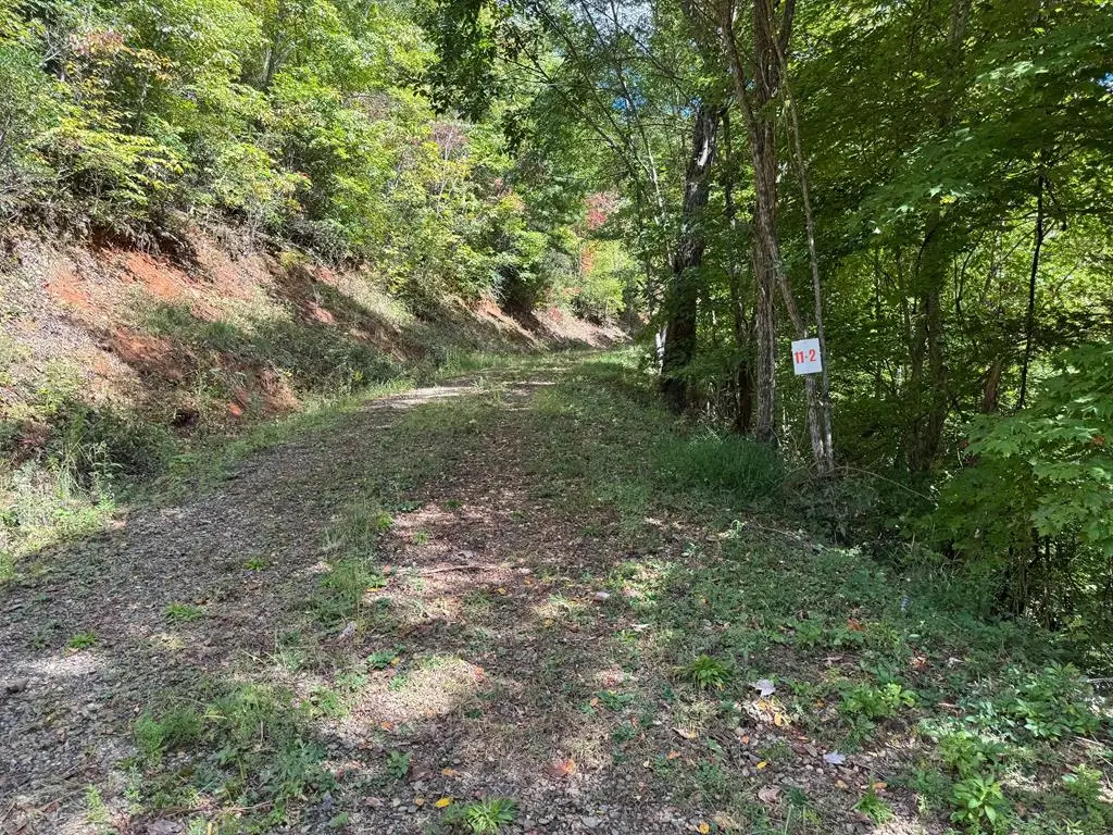 #11-2 Tree Top Drive, Hayesville, NC 28904 - #1