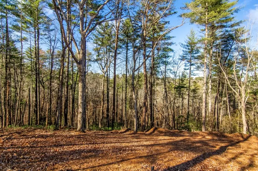 LT 11 Whispering Oaks Drive, Ellijay, GA 30536 - #3