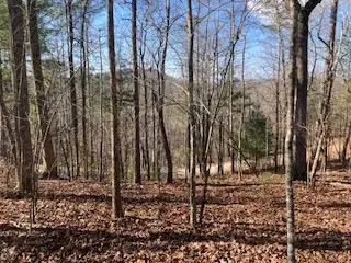 LT 1145 Monet Drive, Ellijay, GA 30540 - #2